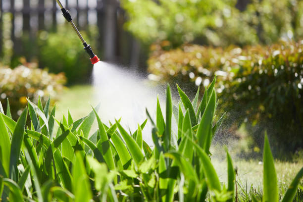 Tamper-Resistant Bait Stations for Rodents in Valencia West