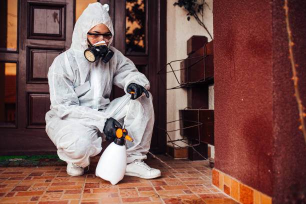 Attic and Crawl Space Rodent Treatment in Valencia West